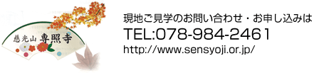 R@Ǝ nŵ₢킹E\݂
TEL:078-984-2461
http://www.sensyoji.or.jp/